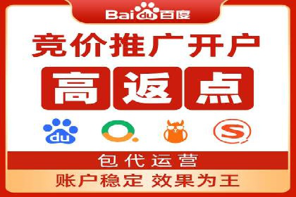 某电商平台的SEM竞价专员成功案例分享